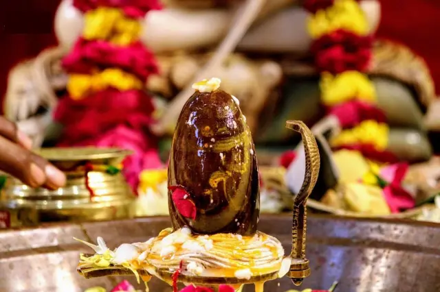 रुद्राभिषेक पूजा