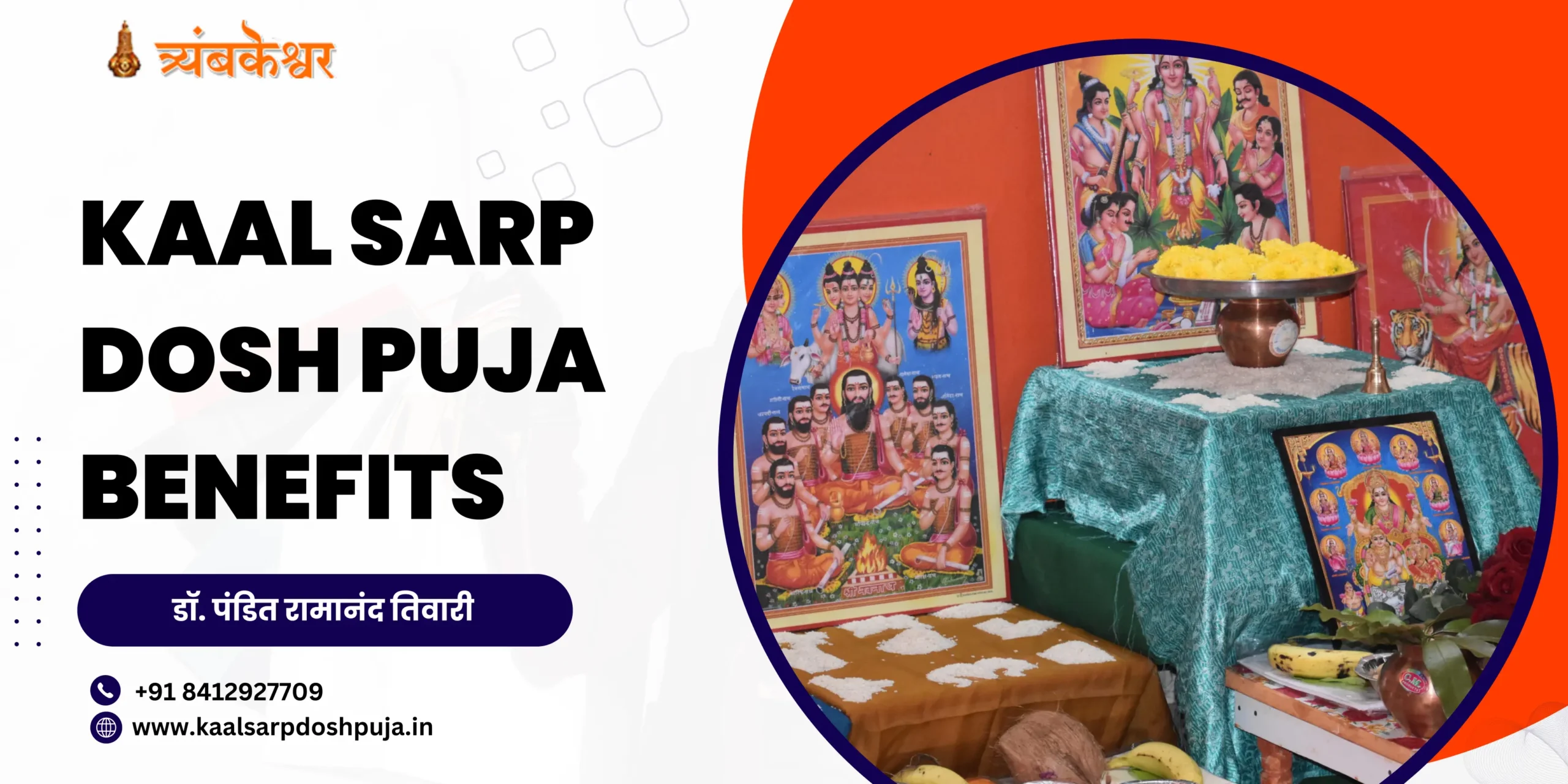 Kaal Sarp Dosh Puja Benefits
