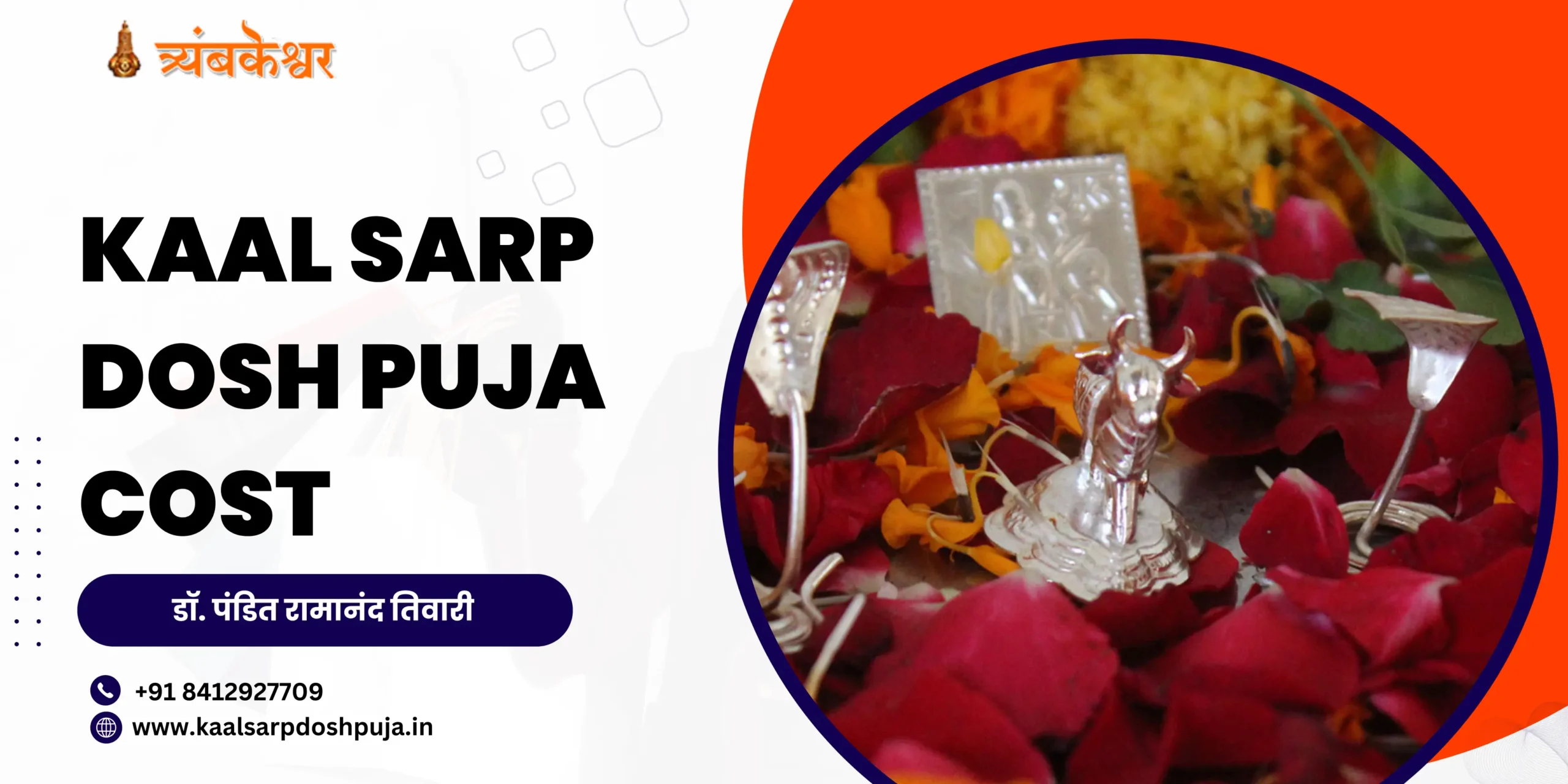 Kaal Sarp Dosh Puja Cost