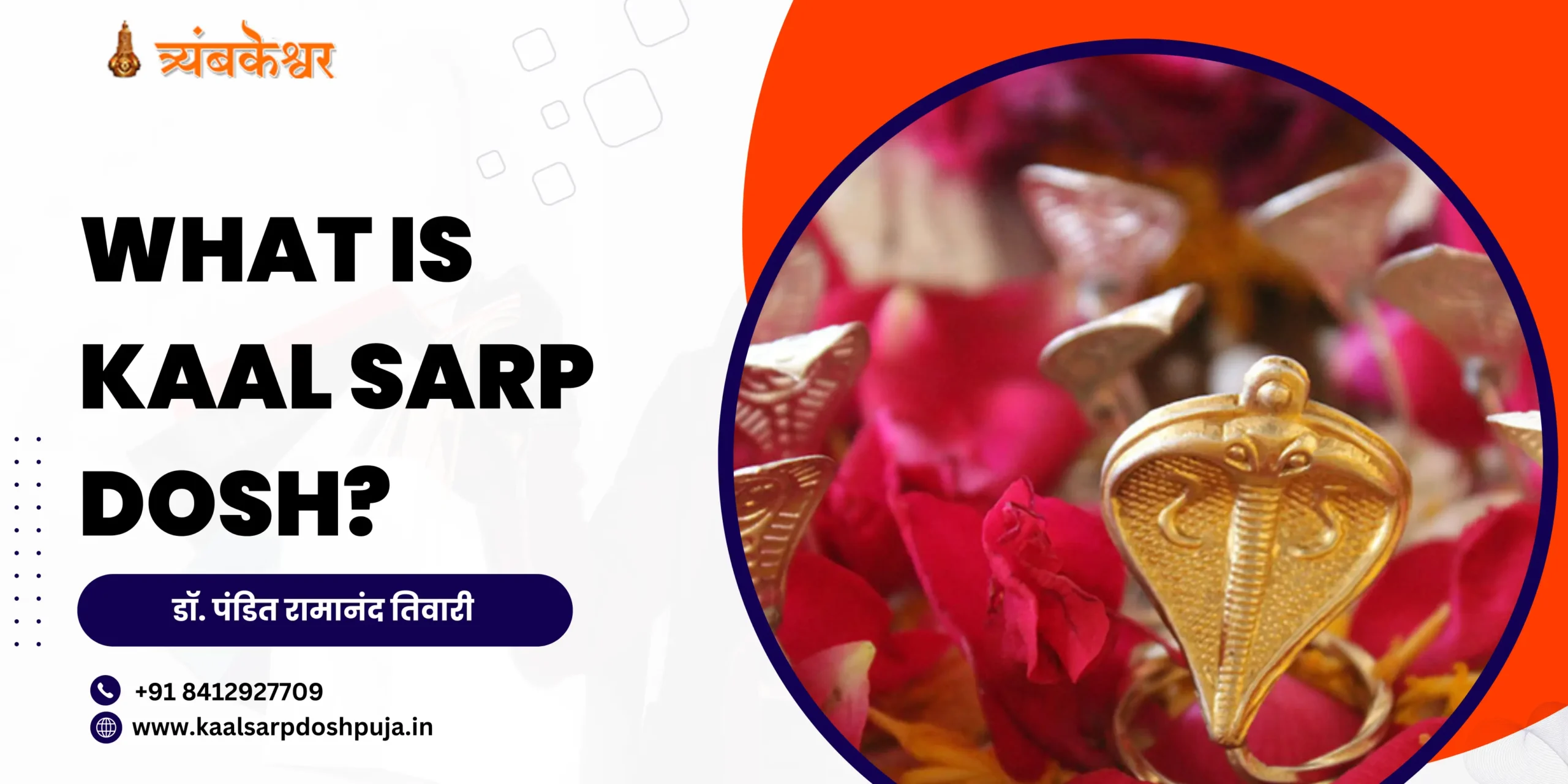 What is Kaal Sarp Dosh